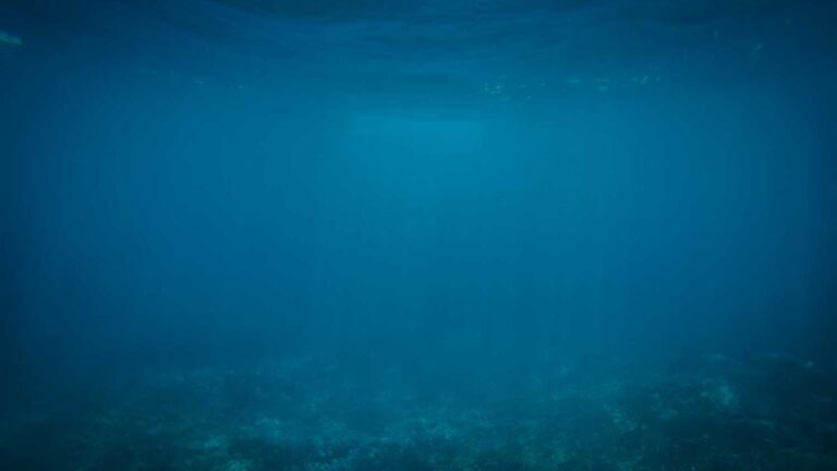 How To Log In To Cricbet99 Club M Section?